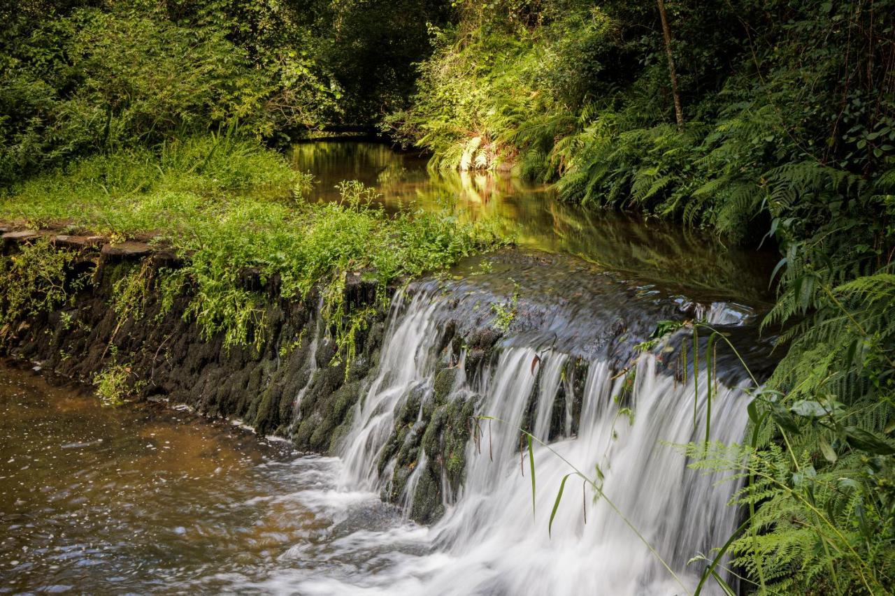 Be&See In River أوفار المظهر الخارجي الصورة